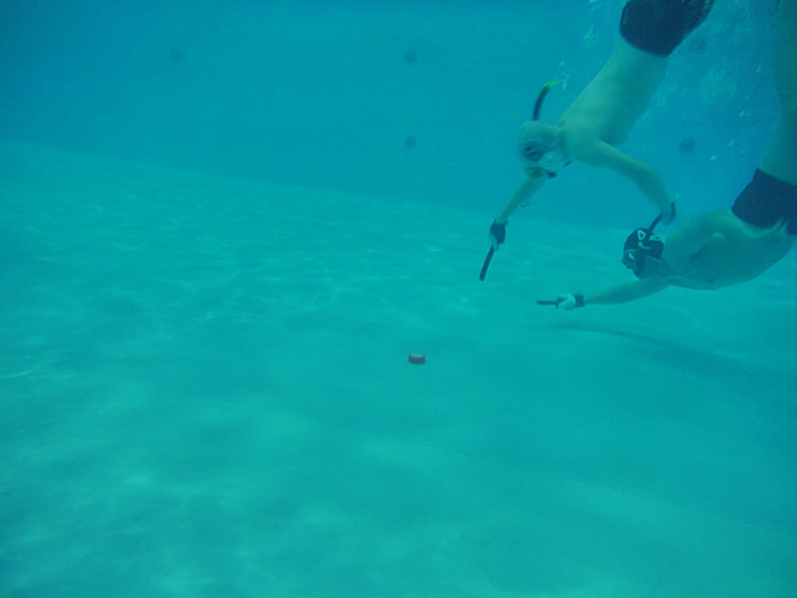 Hokej pod wodą Walenie Siemianowice Śląskie Trening 27 IV 2024